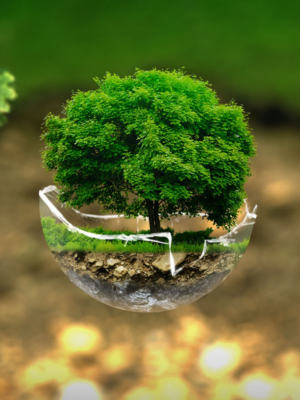 ESG Benefits Environmental