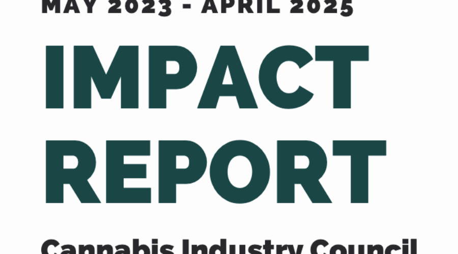 CIC Impact Report 23-25