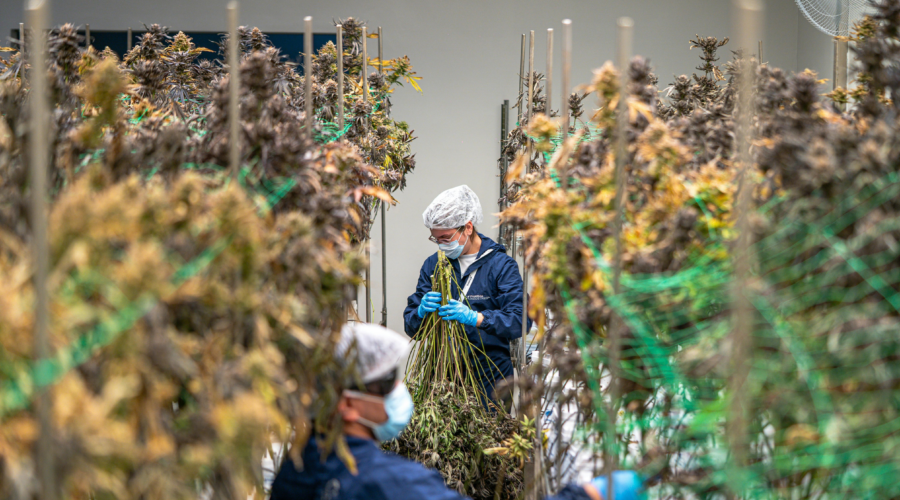 New Guidance | Business setup, contracts, and payment