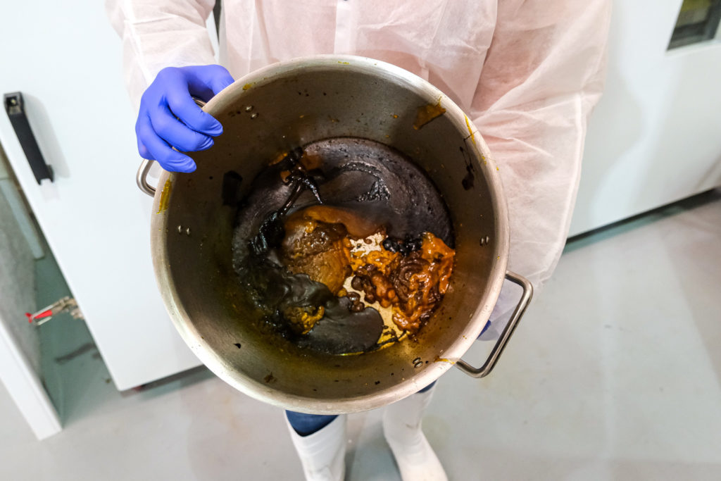 Man holding isolate bucket