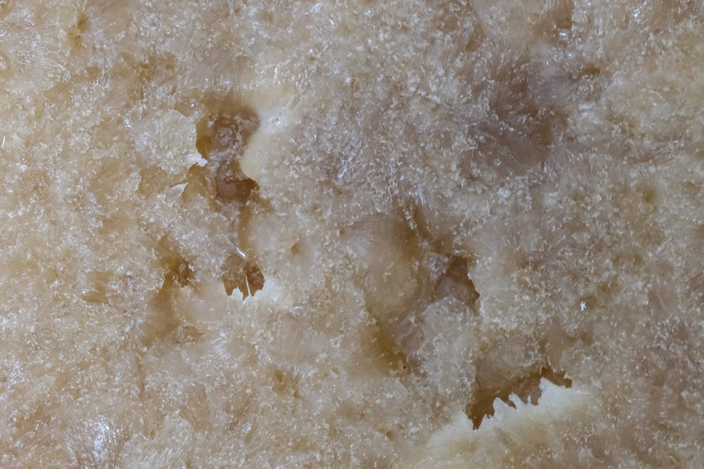 crystallized isolate