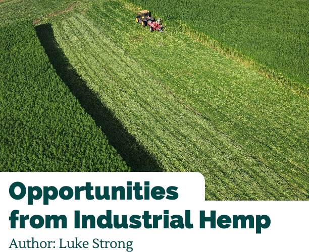 Opportunities from Industrial Hemp Report