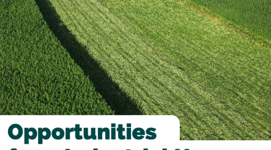 CIC launches new report in Parliament calling for reform to unlock UK’s industrial hemp potential
